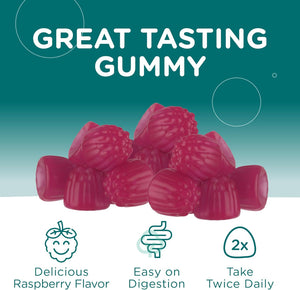 Magnesium Gummies Raspberry Flavor Sugar Free 60 Count