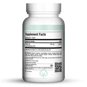 Maxi Health B6 100 Tabs Total Wellness